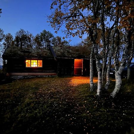 Villa Traditional Log Cabin At Vierli Rauland Exterior foto