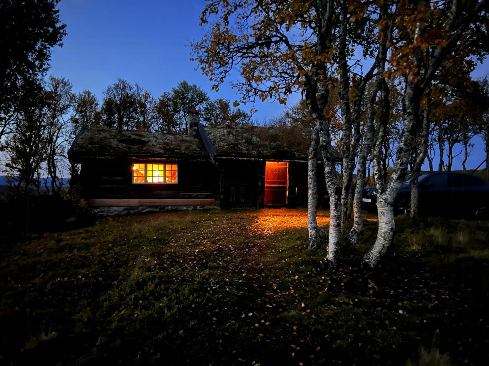 Villa Traditional Log Cabin At Vierli Rauland Exterior foto