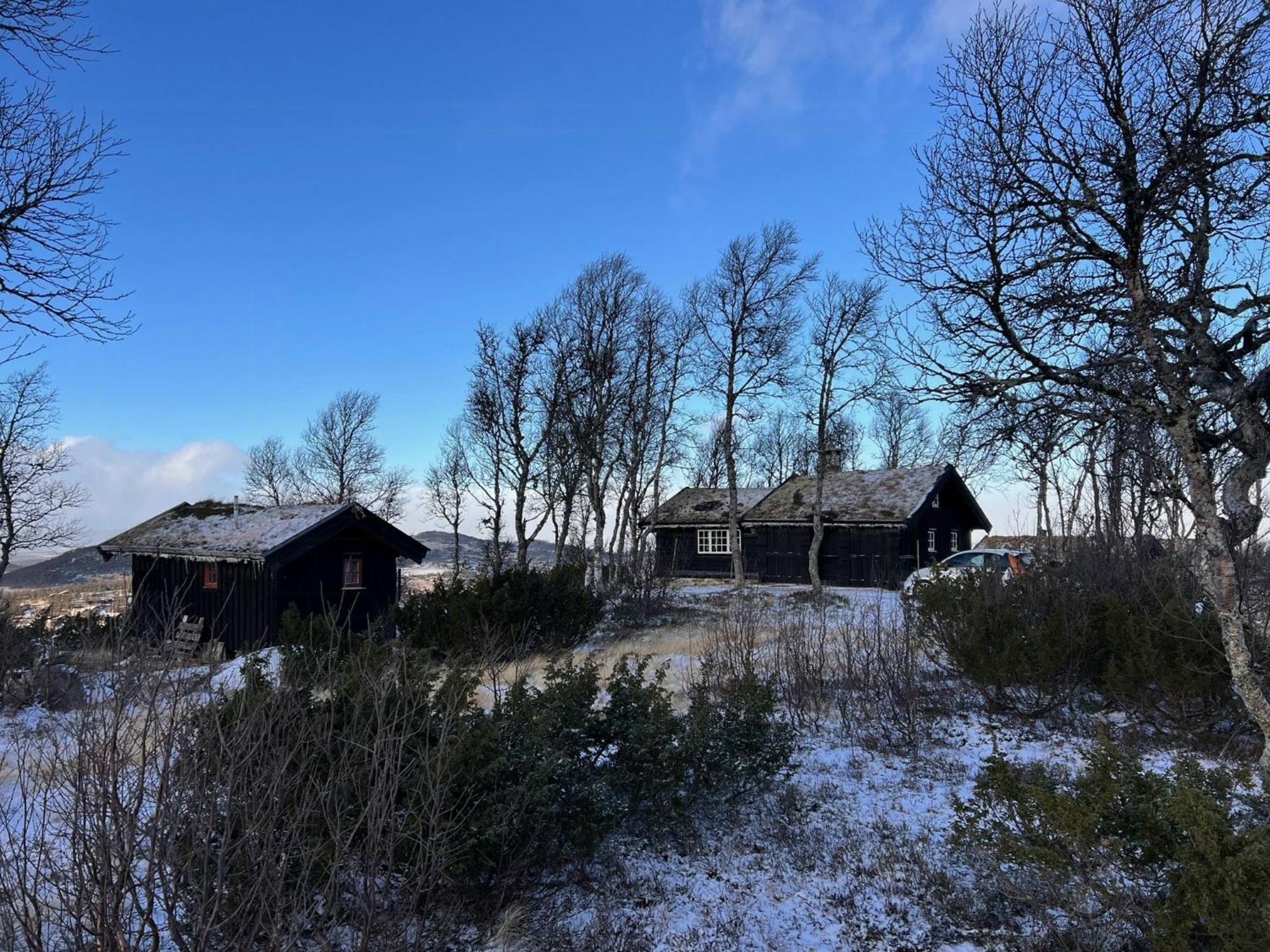 Villa Traditional Log Cabin At Vierli Rauland Exterior foto