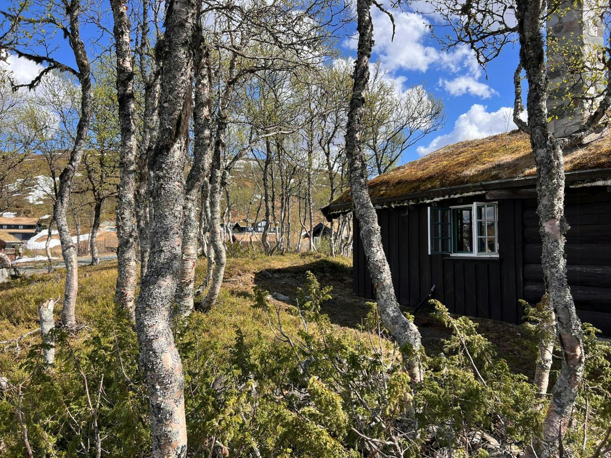 Villa Traditional Log Cabin At Vierli Rauland Exterior foto