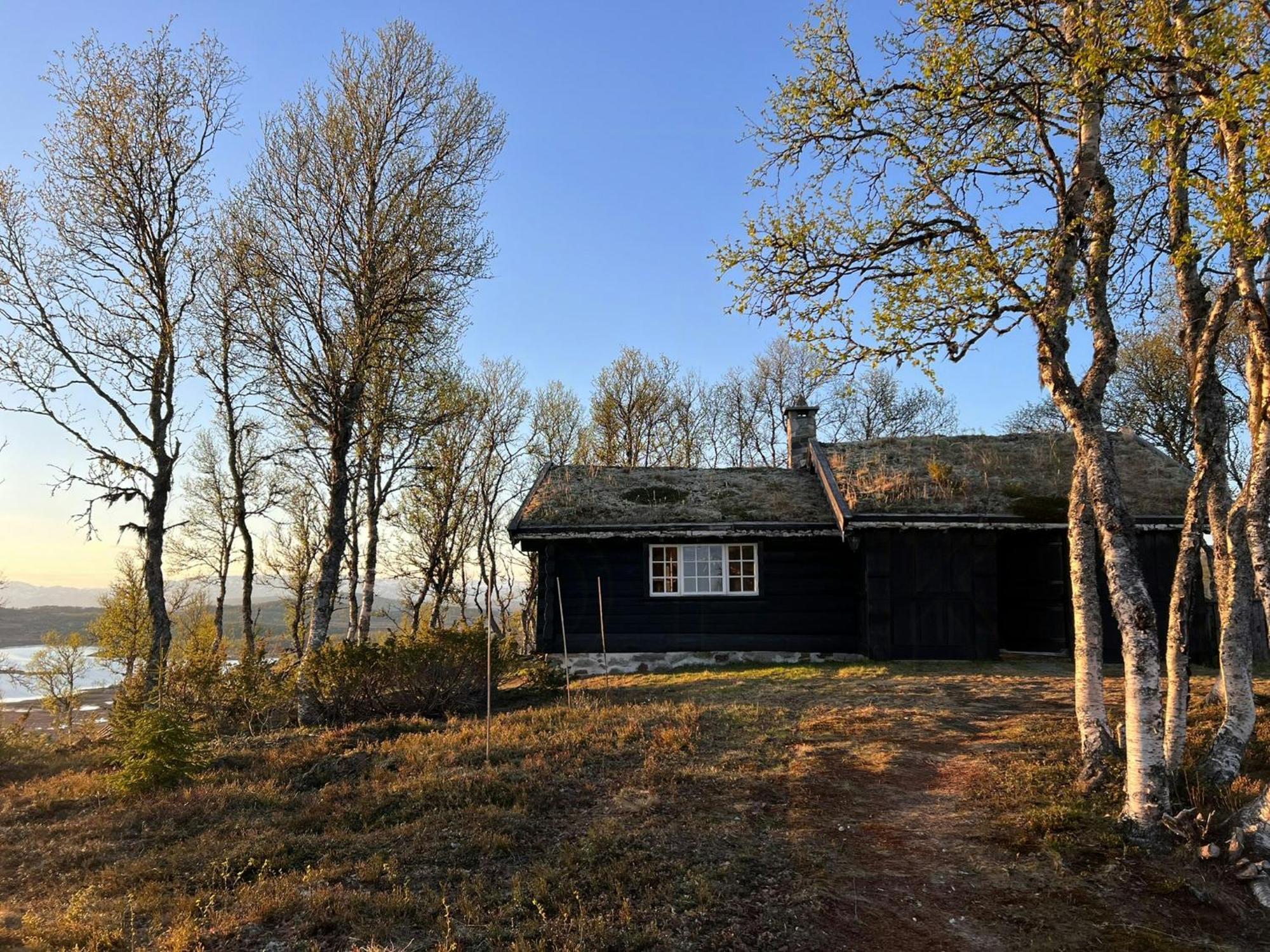 Villa Traditional Log Cabin At Vierli Rauland Exterior foto